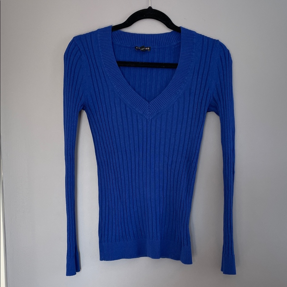 Express Cobalt Blue Ribbed V-Neck Sweater